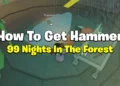 How To Get Hammer in 99 Nights In The Forest